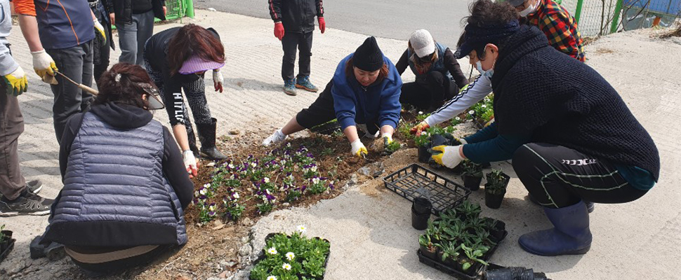 주변마을 '꽃식재' 녹지화단 조성 지원
